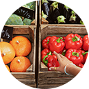 Mayor calidad del producto al usar menos pesticida