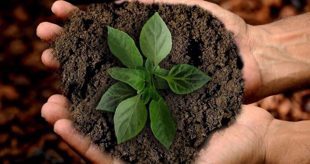El verano, el momento ideal para aprender a  reducir tu impacto medioambiental