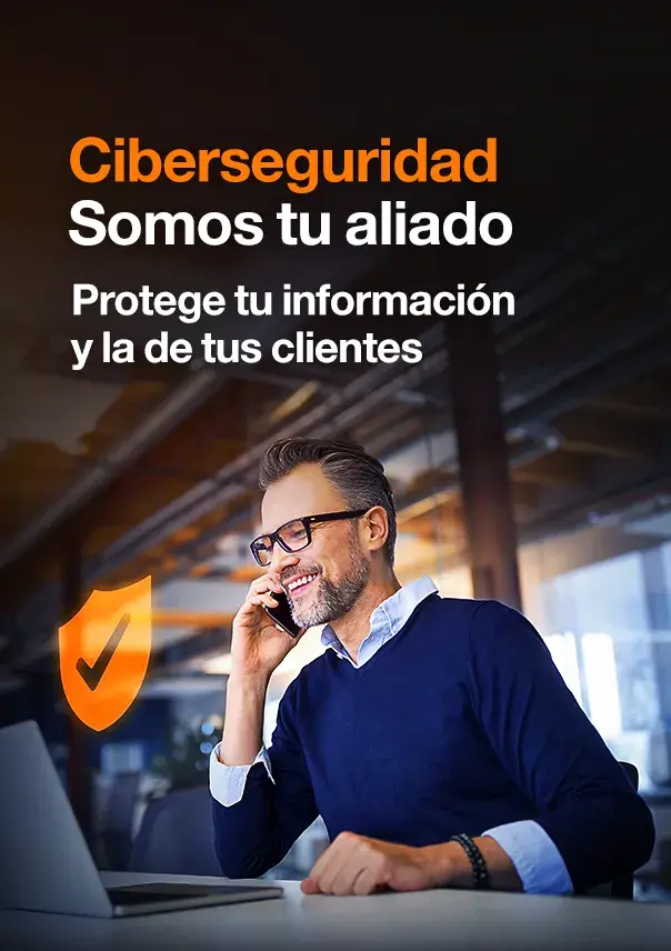 ciberseguridad